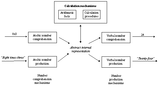 Structure of cognitive number processing system